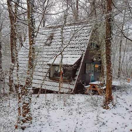 בית נופש 42 - דורבורי